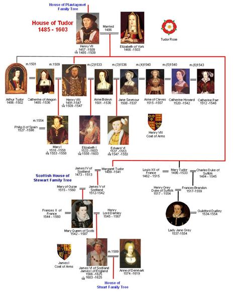 tudor line of succession|tudor descendants today.